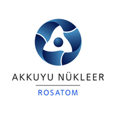 akkuyu-ngs-nin-1-guc-unitesi-reaktorune-temsili-yakit-demetlerinin-yuklenmesi-islemi-tamamlandi